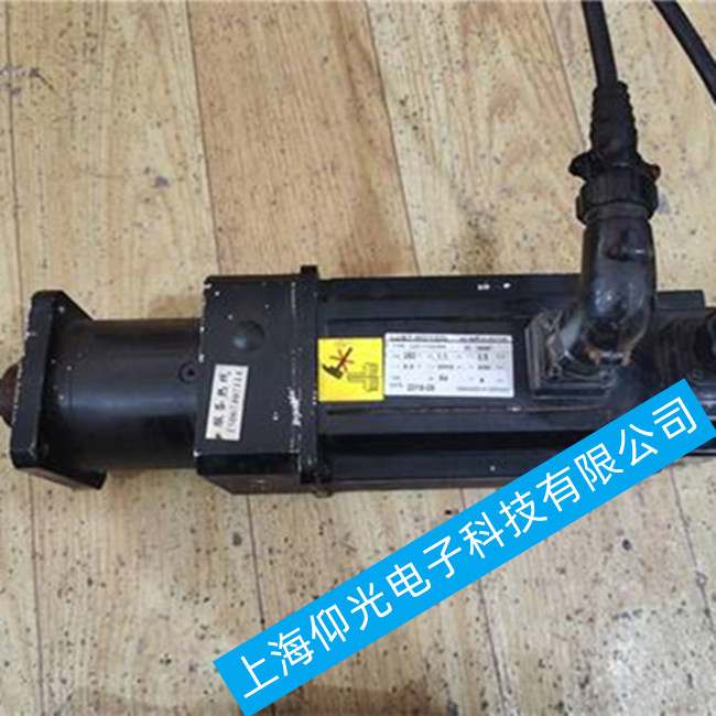 廣東深圳路斯特LSC-080-5-30-560/1RJ伺服電機(jī)維修